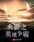 火影之英雄争霸 奇书.cc