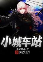 小城车站txt