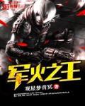 上海滩军火之王