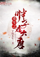 重生之胖子在大唐 紫阳先生