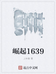 崛起从鉴宝开始小说