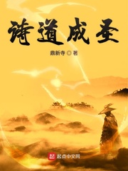 文道成圣的小说有哪些