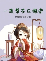 一树梨花压海棠片长