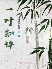 一叶知两广
