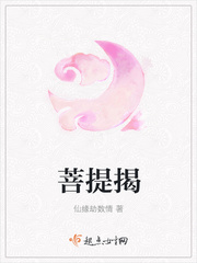 菩提揭主题曲