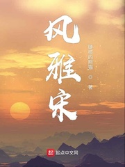 风雅大宋
