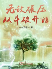 无敌碾压流的小说