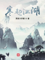 寒起江湖小说全本下载