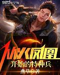从火凤凰开始的特种兵小说