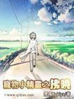 宠物小精灵之系统小说完结免费