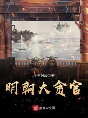 明朝大官人小说