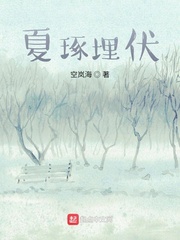 小说 埋伏