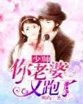 少帅你老婆又跑了有声书免费