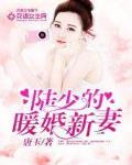陆少的暖婚新妻小说全文免费阅读纵横小说