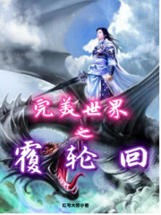 完美世界轮回是什么实力