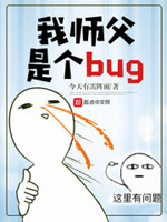 我师傅是个bug 小说