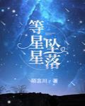 等星星坠落小说全文免费阅读百度云