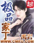 极品家丁小说免费阅读无删减