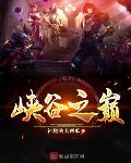 峡谷之巅能不能双排