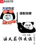 诸天最强大佬百度云下载
