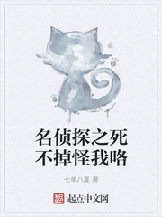名侦探之胎死腹中 小说