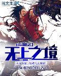 斗破之无上之境t×t